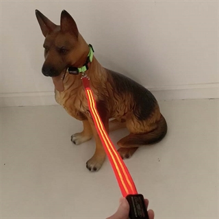 Rød hundesnor med rødt lys